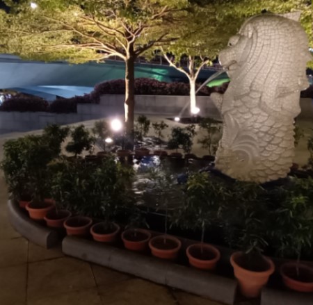新加坡 滨海湾蓄水池