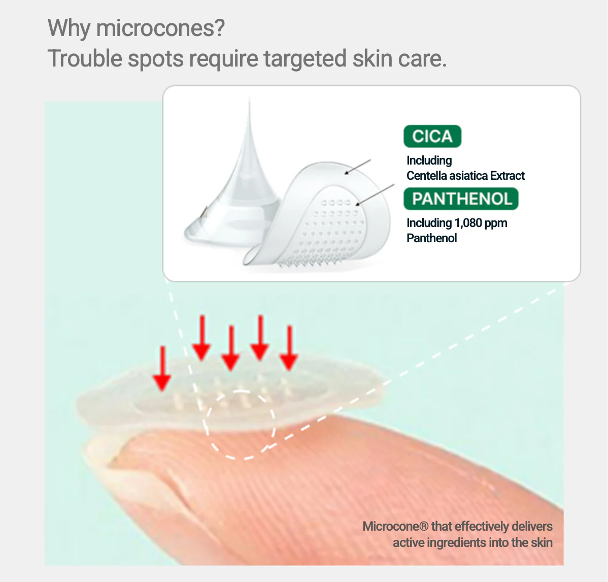 Spuogų lipdukai su mikro-adatėlėmis "BIOHEAL BOH Panthecell Repair Cica Micro Spot Patch"