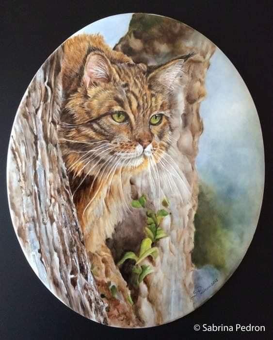 Wild cat