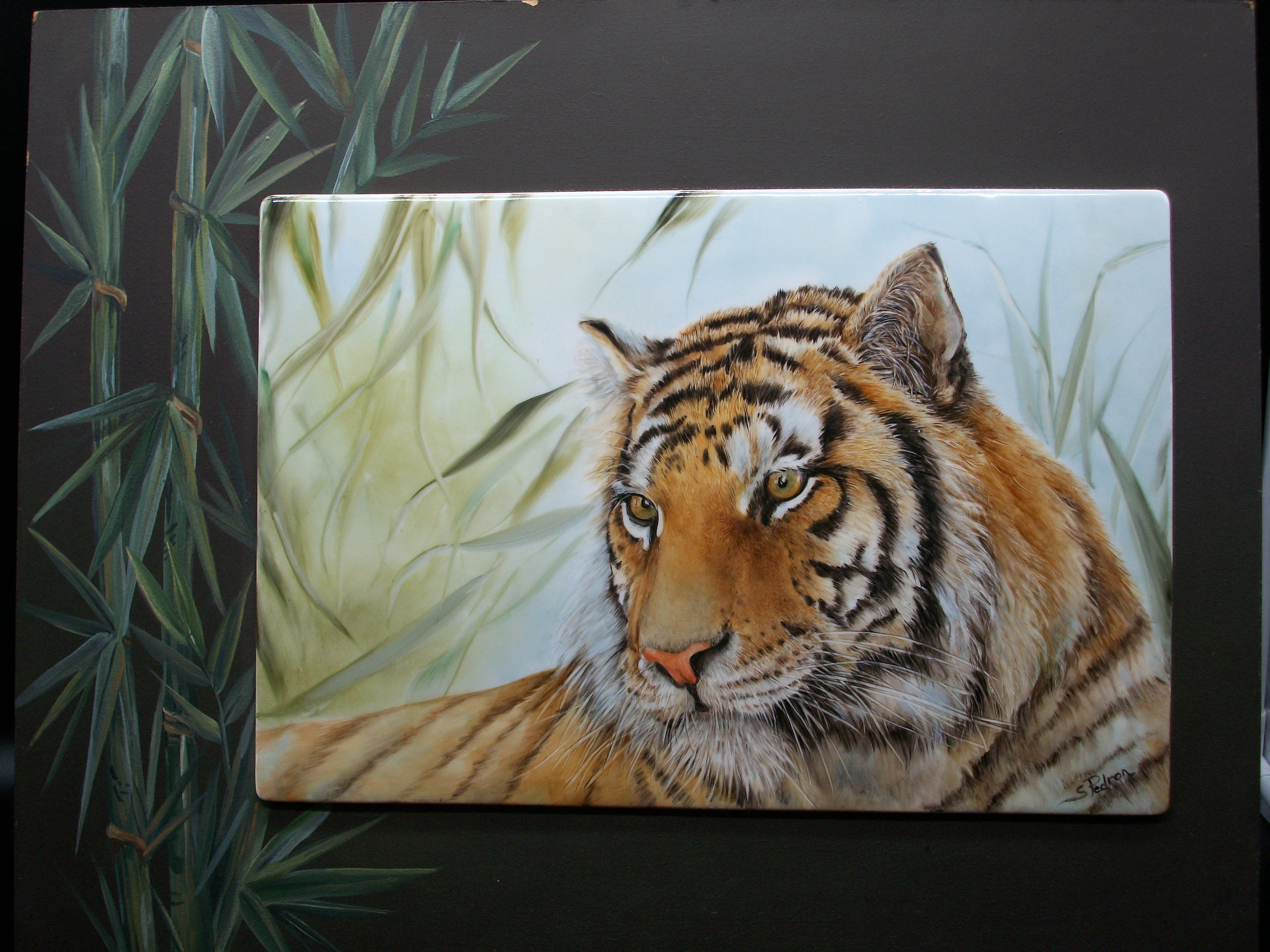 Bengala tiger