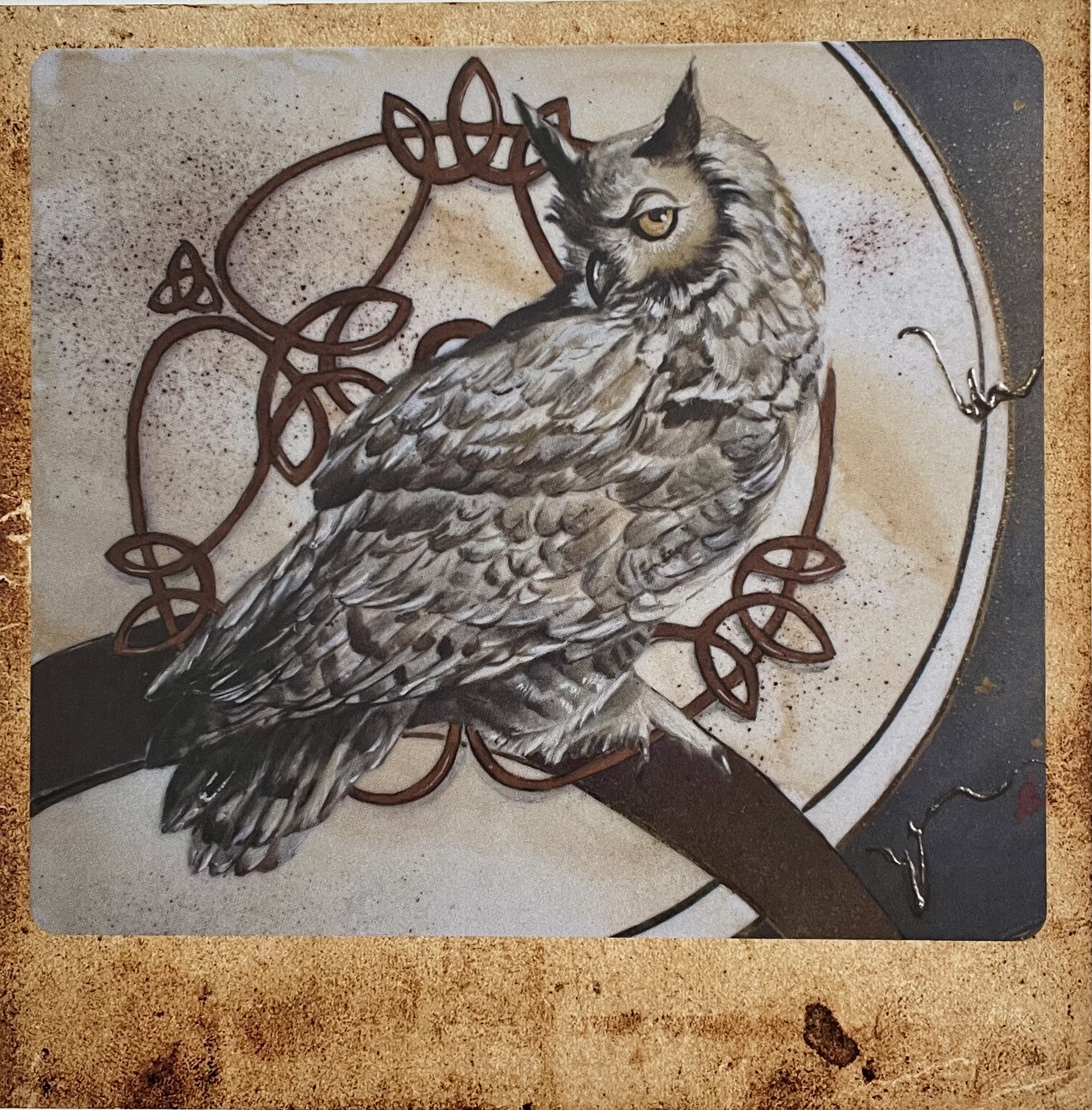 The owl