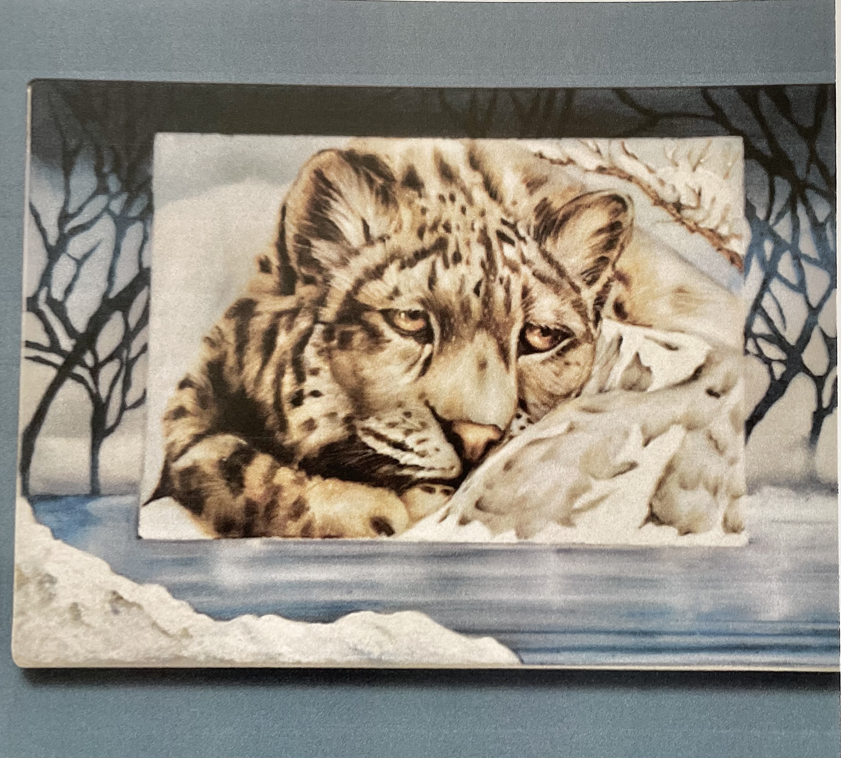 Snow leopard