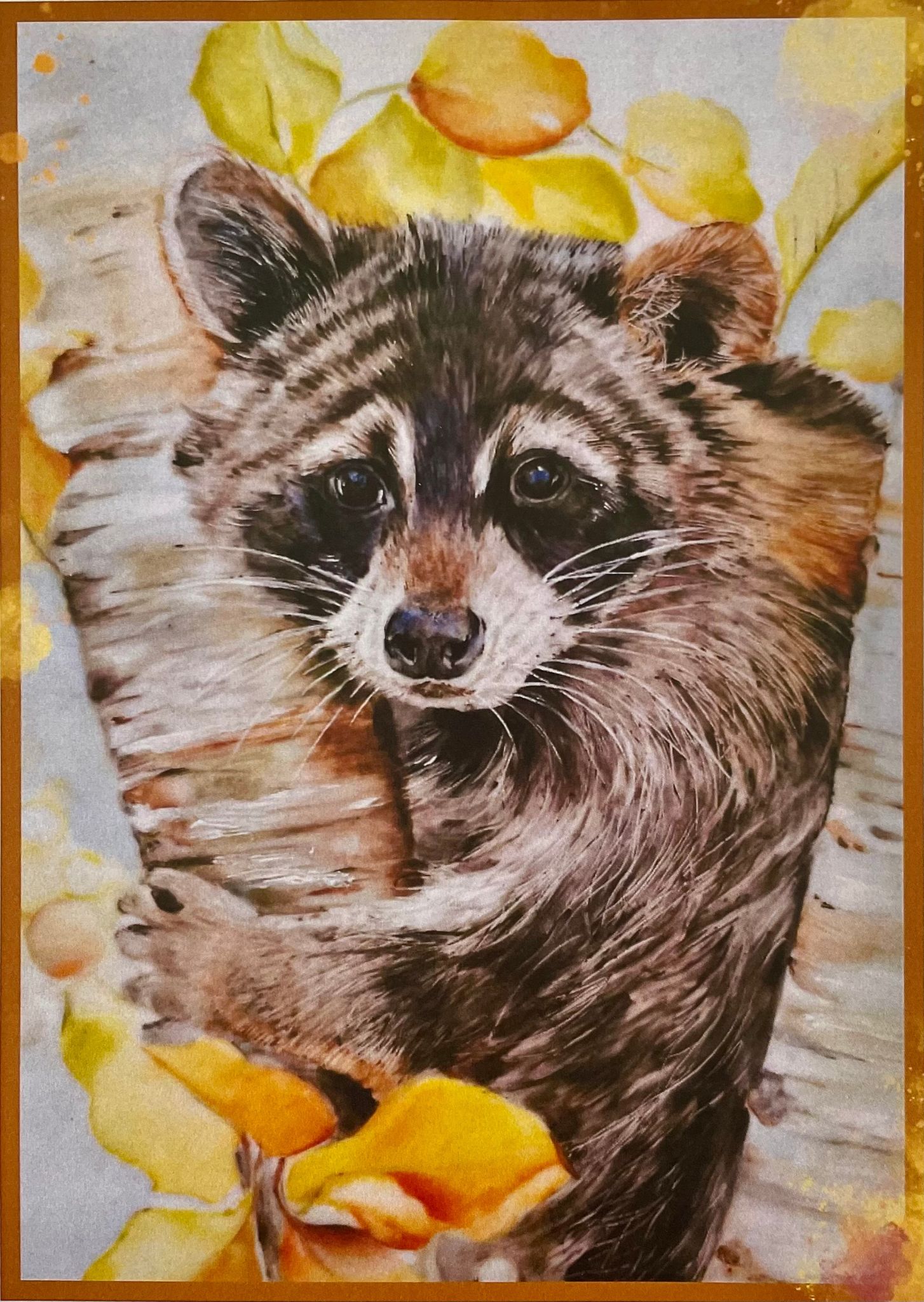 Raccoon