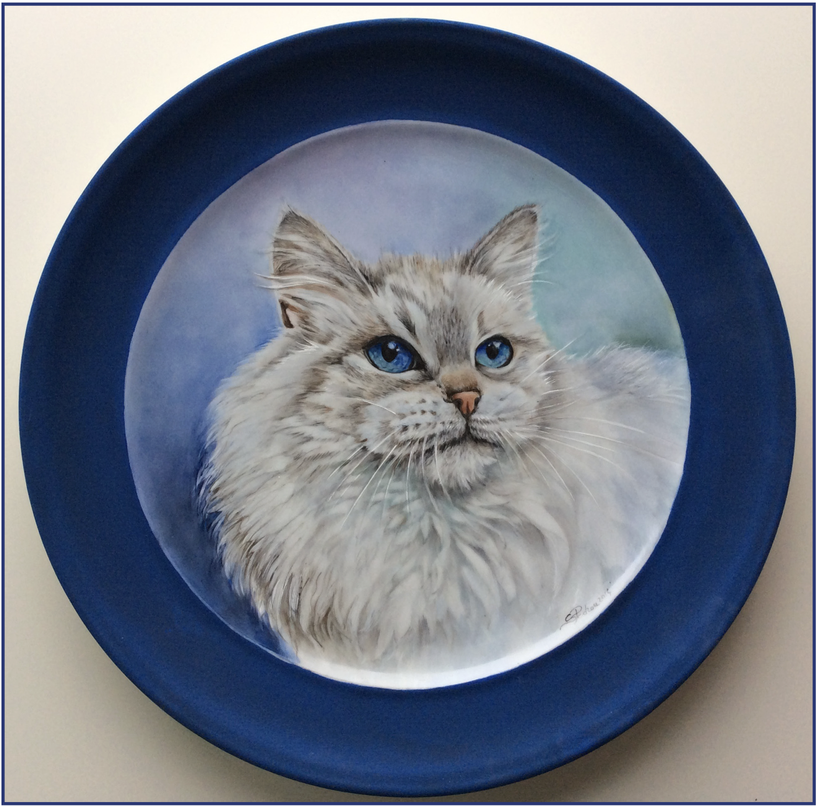 Ragdoll