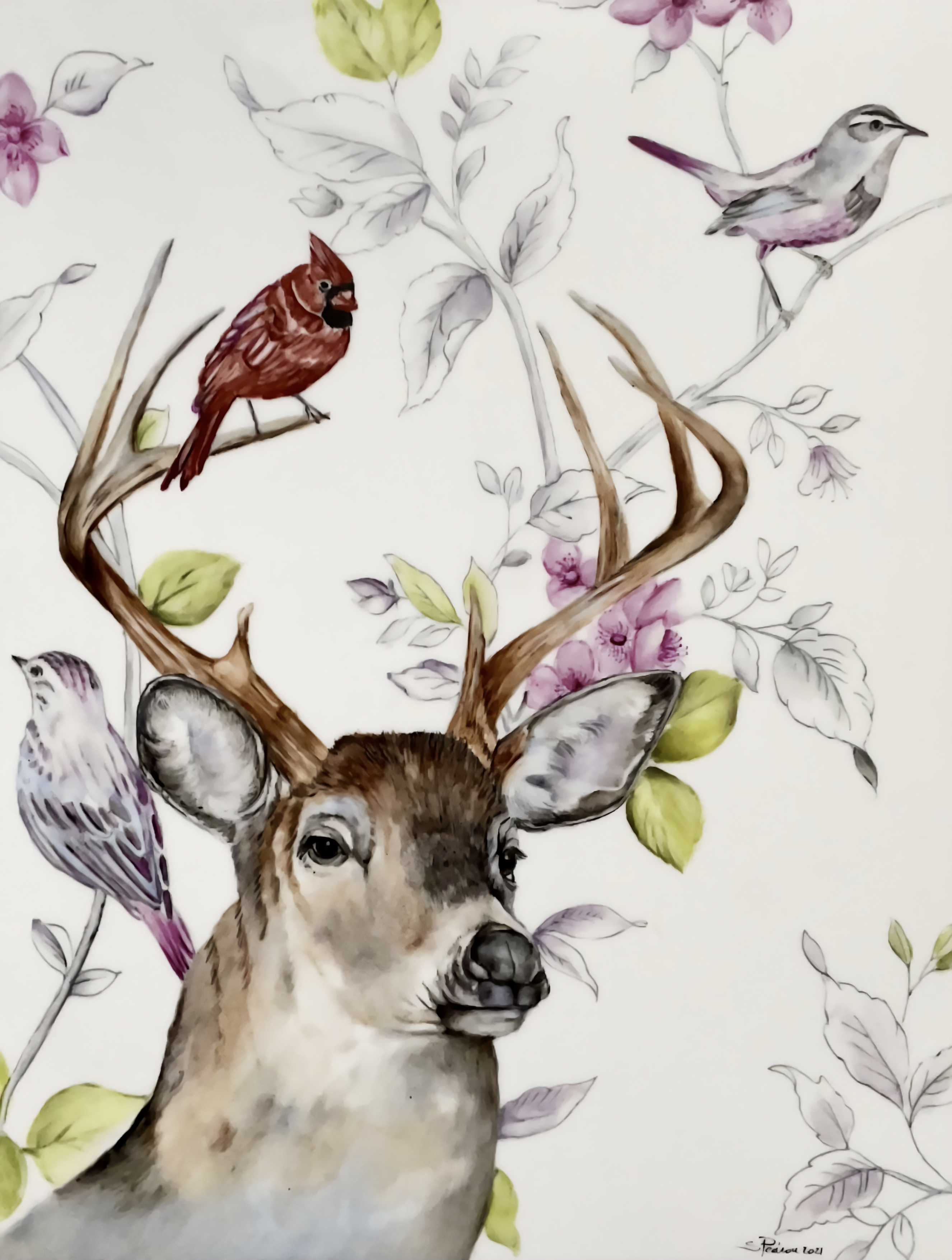 Buck
