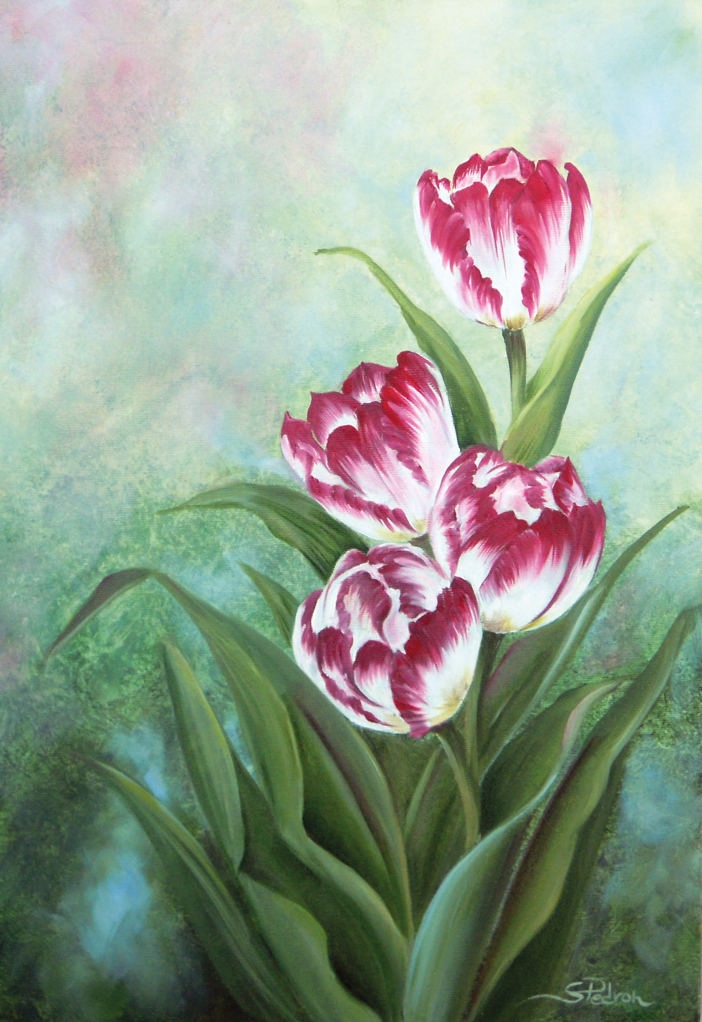 Tulips
