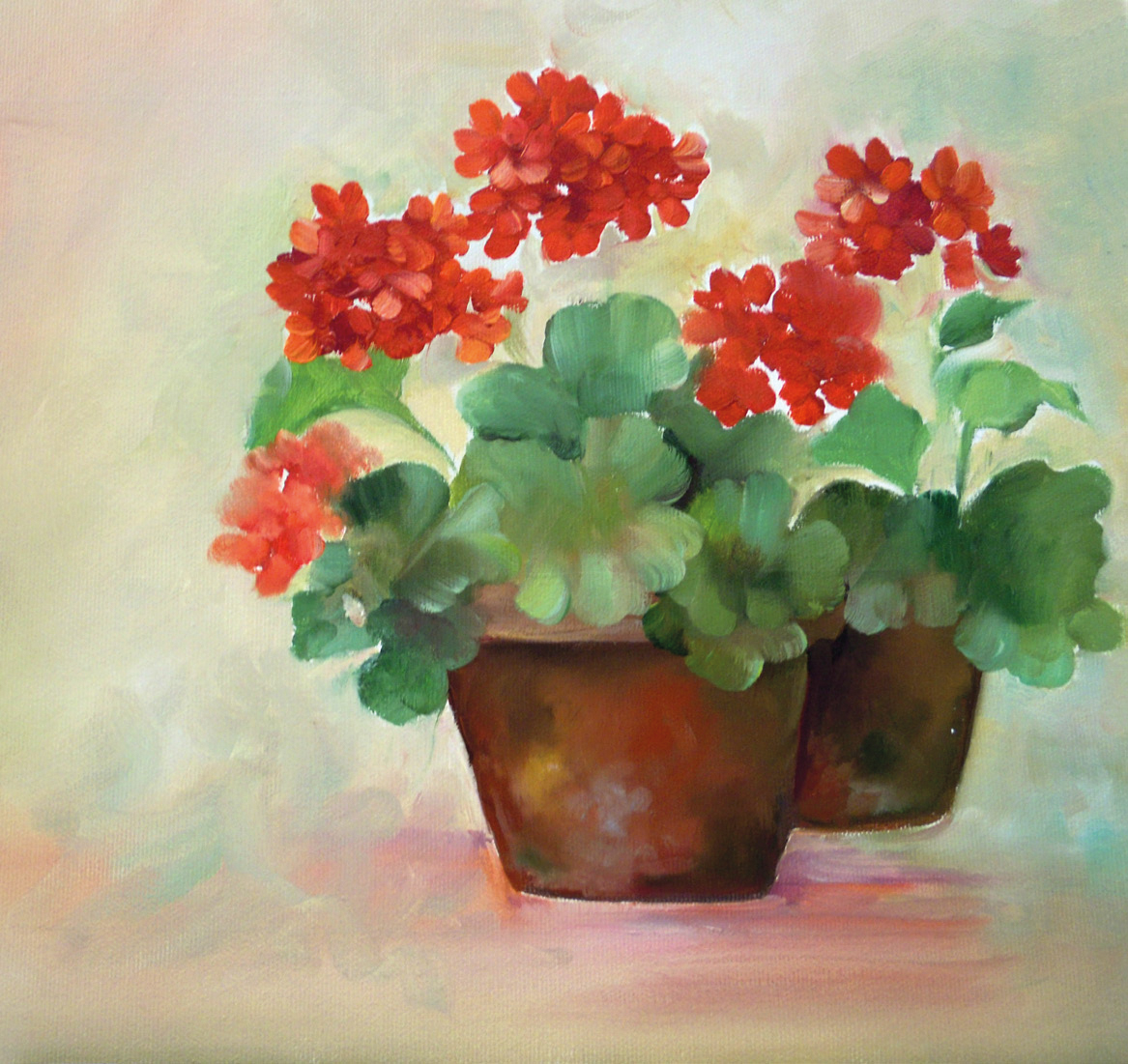 Geraniums
