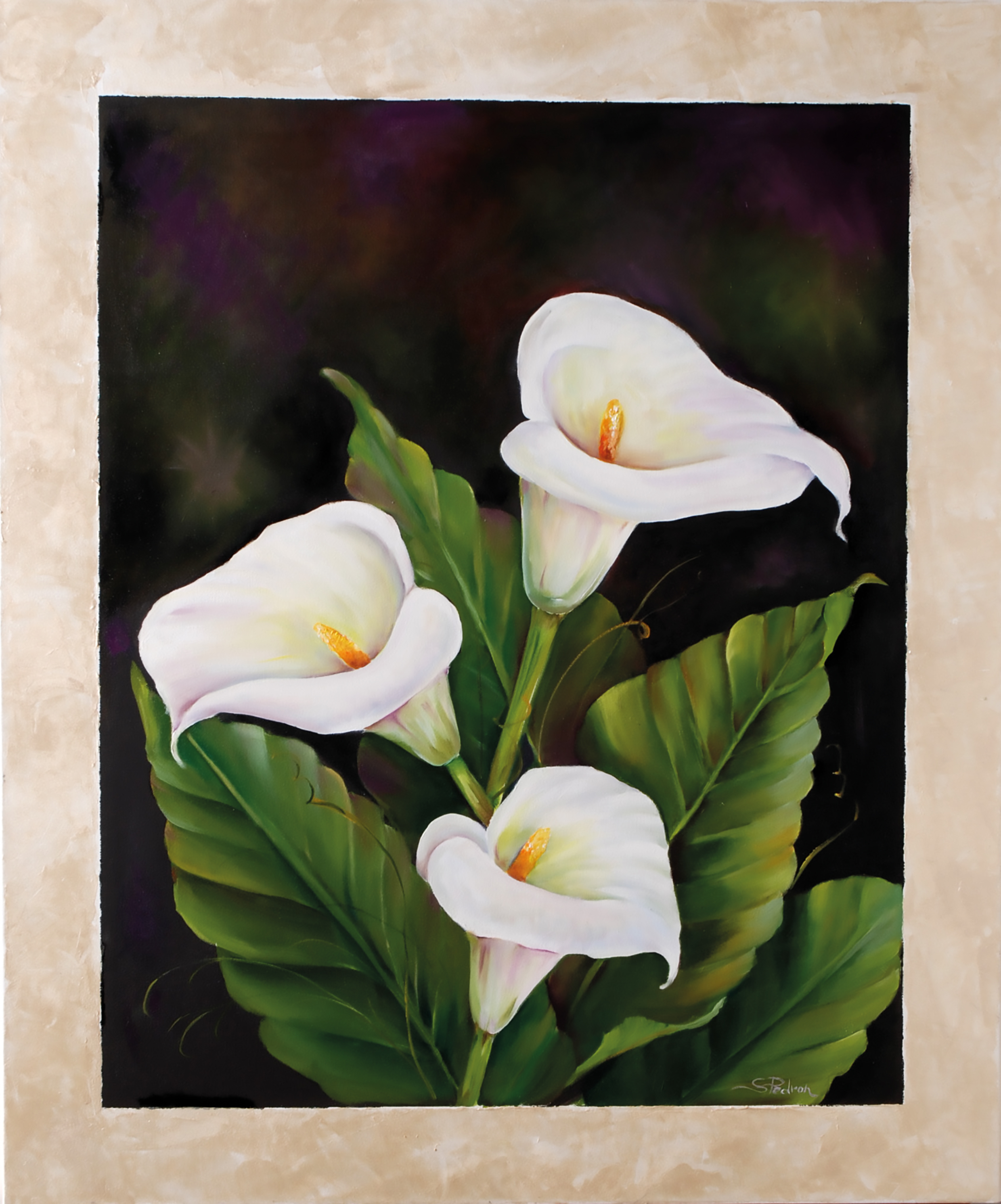White calla lilies