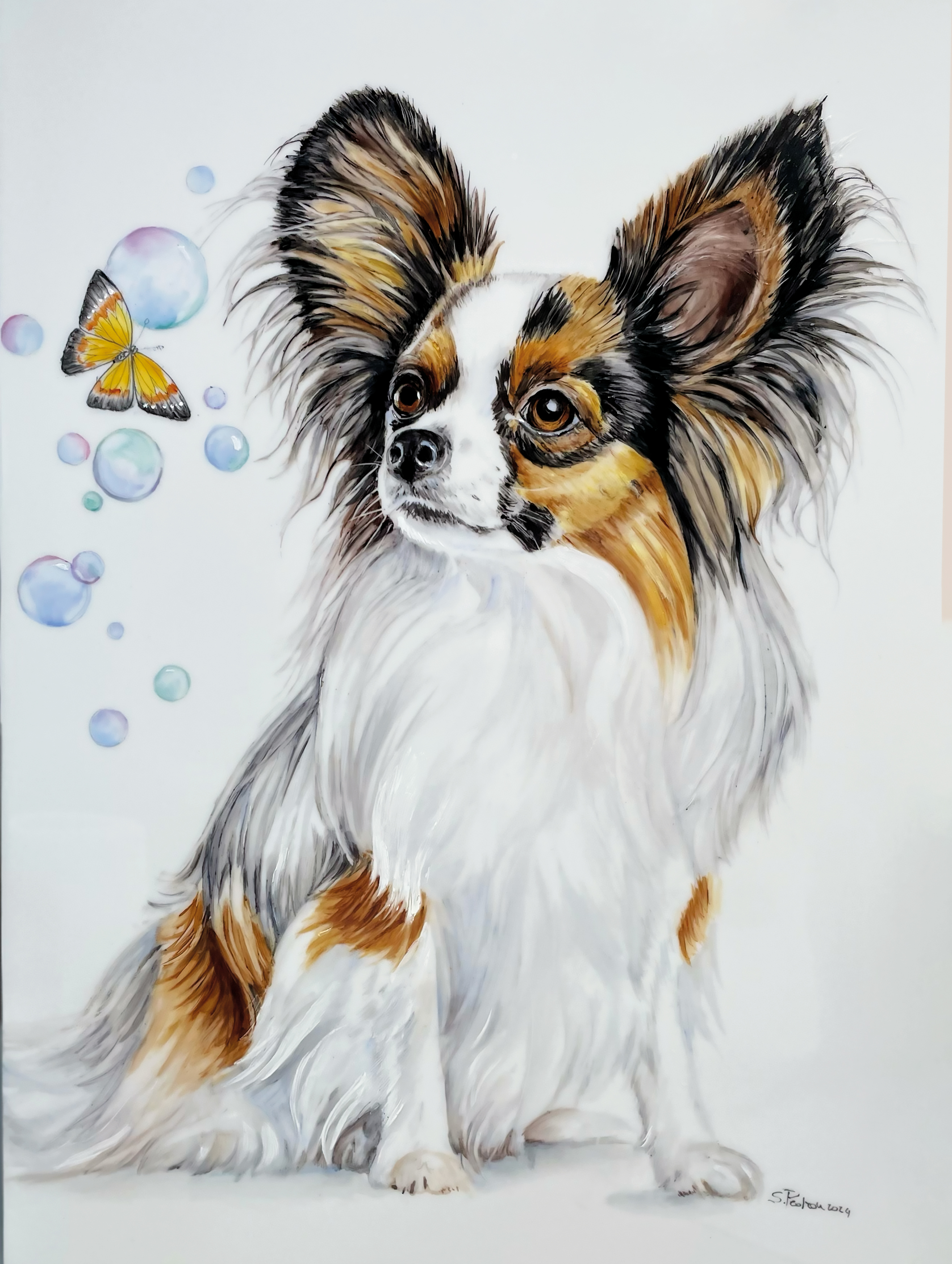 Papillon Dog