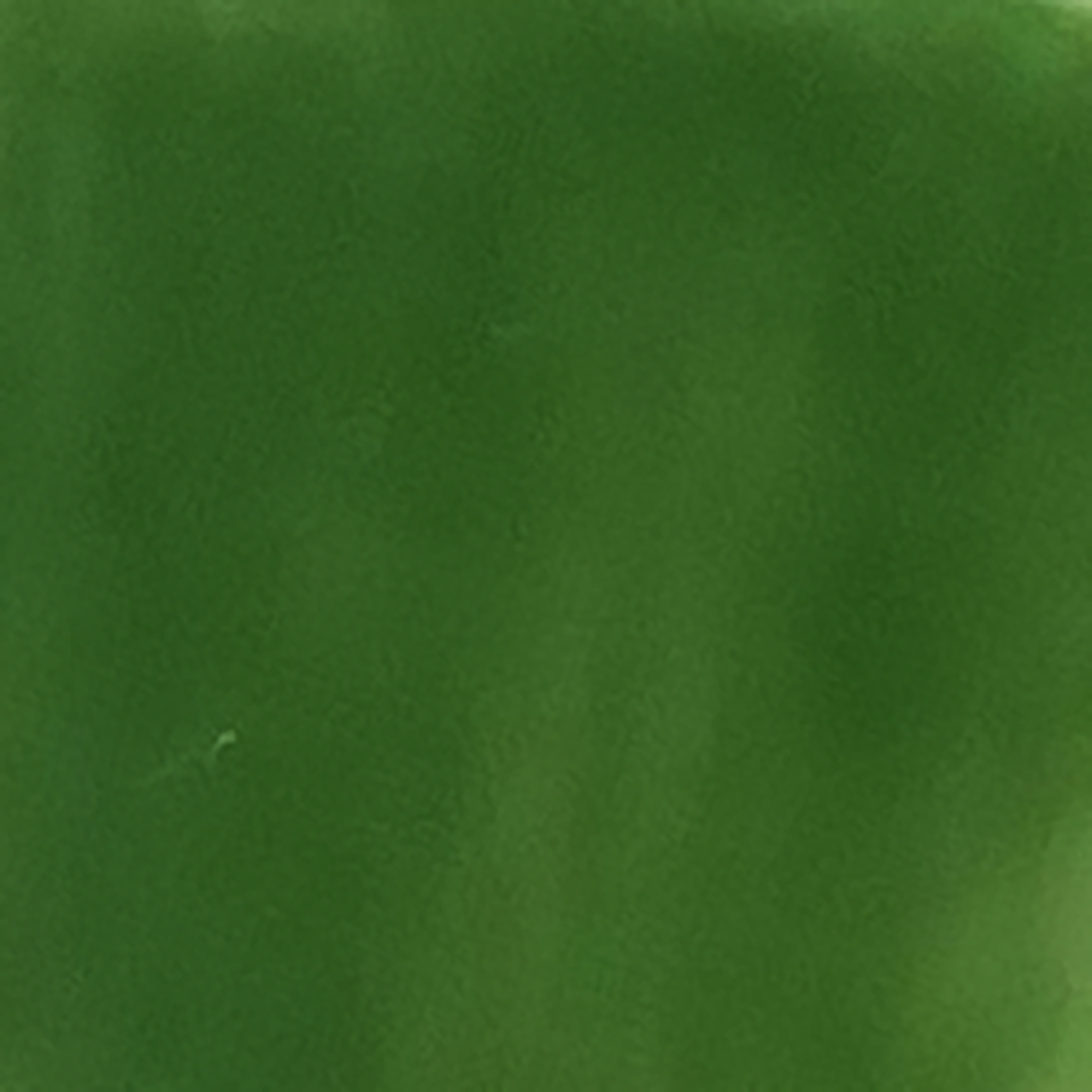 16 Verde cromo 8 gr