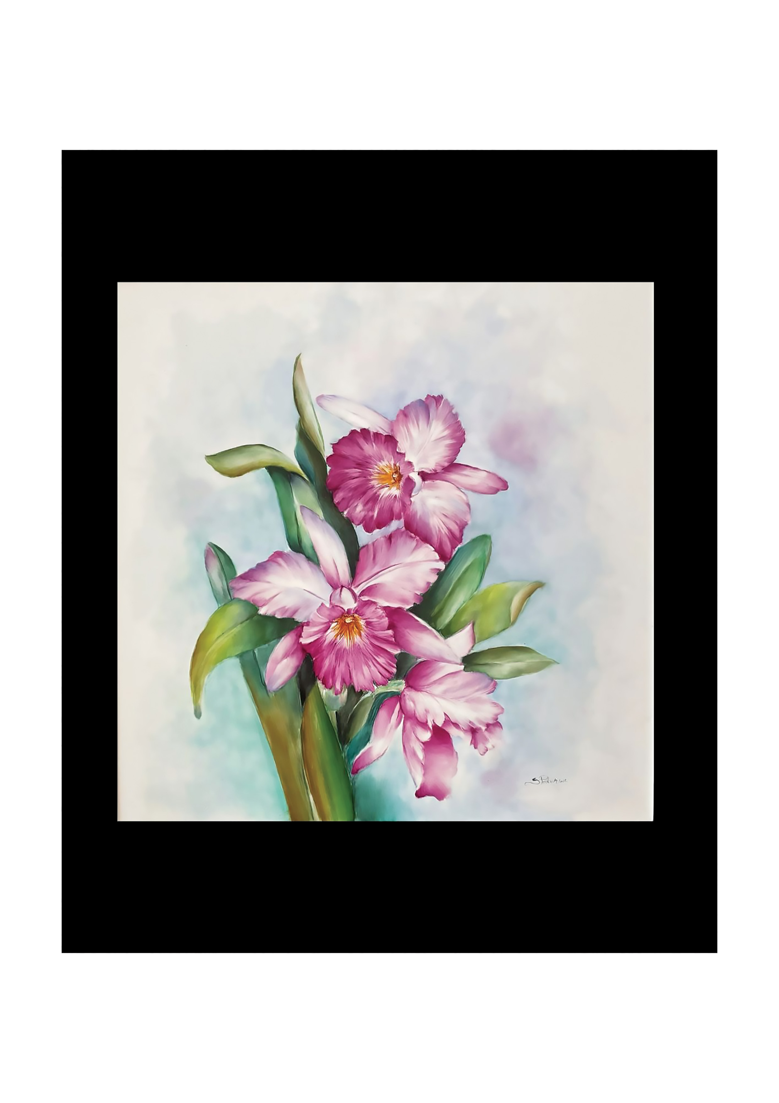 Orchidées