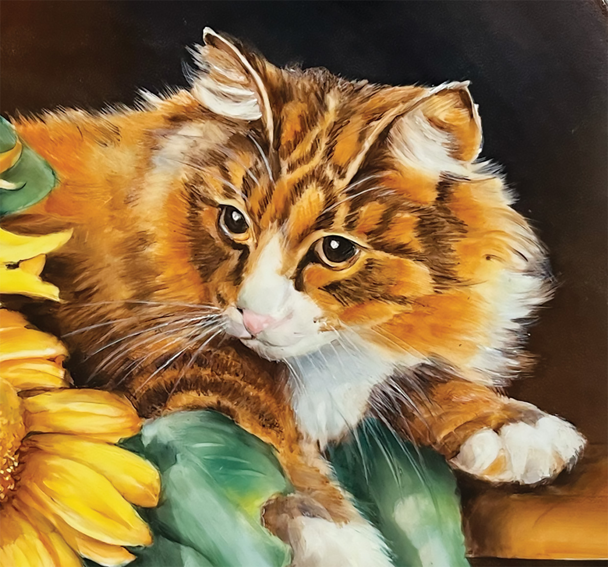 Chat et tournesols