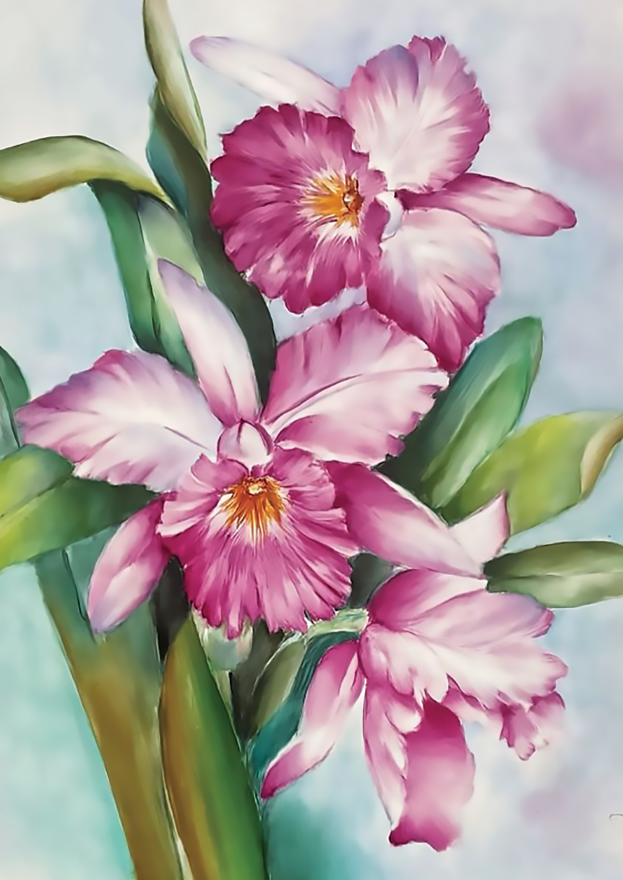 ORCHIDEE
