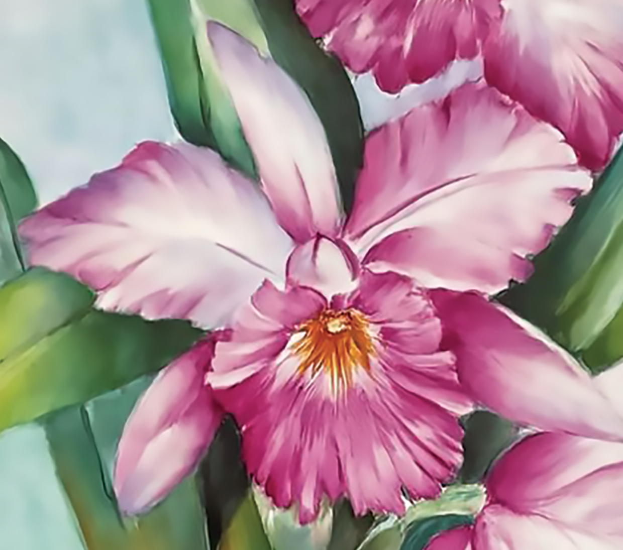 ORCHIDEE