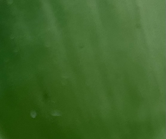 Brillant green 8 gr