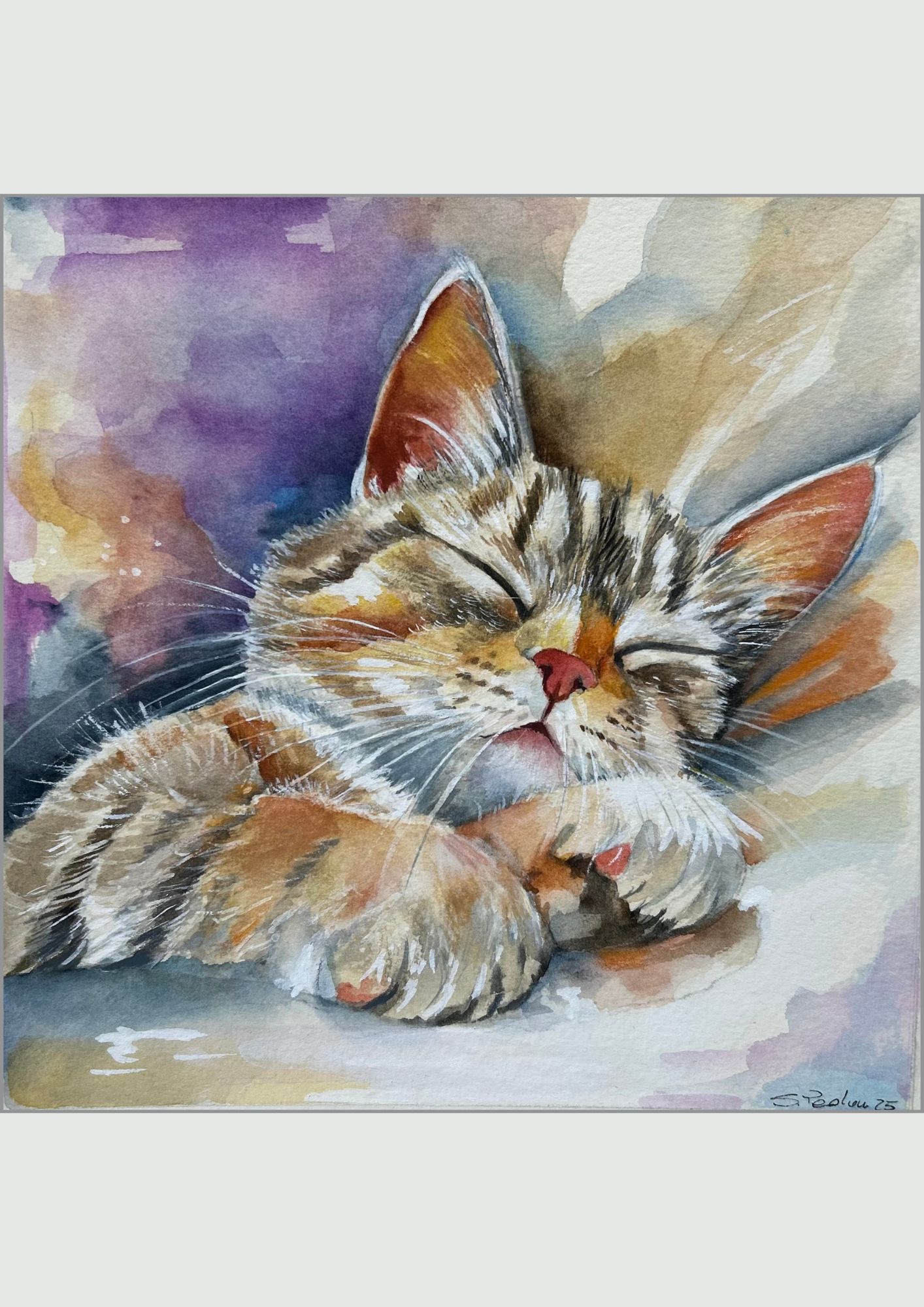 Dream (gattino che dorme )