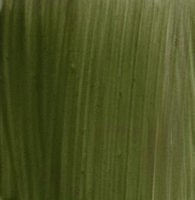 Portrait Golden green