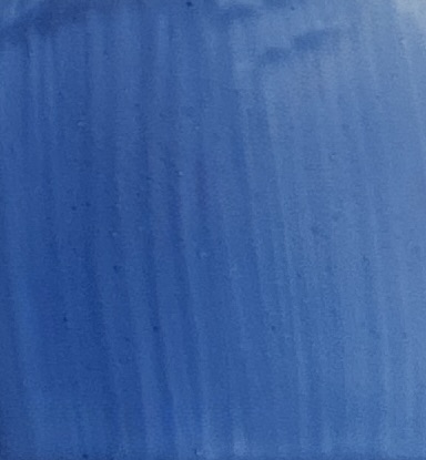 Portrait blue