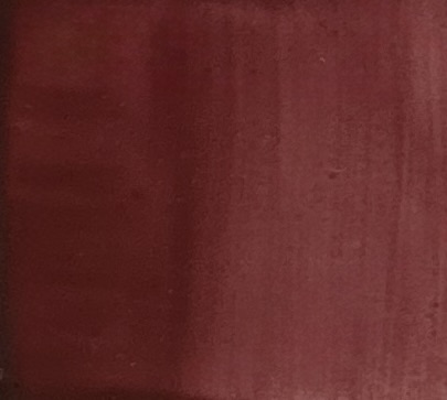 Portrait dark purple red