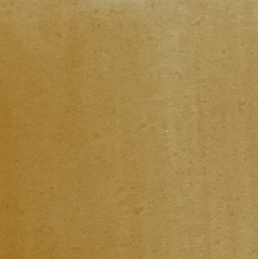 Portrait yellow 