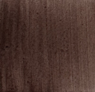Portrait Sepia