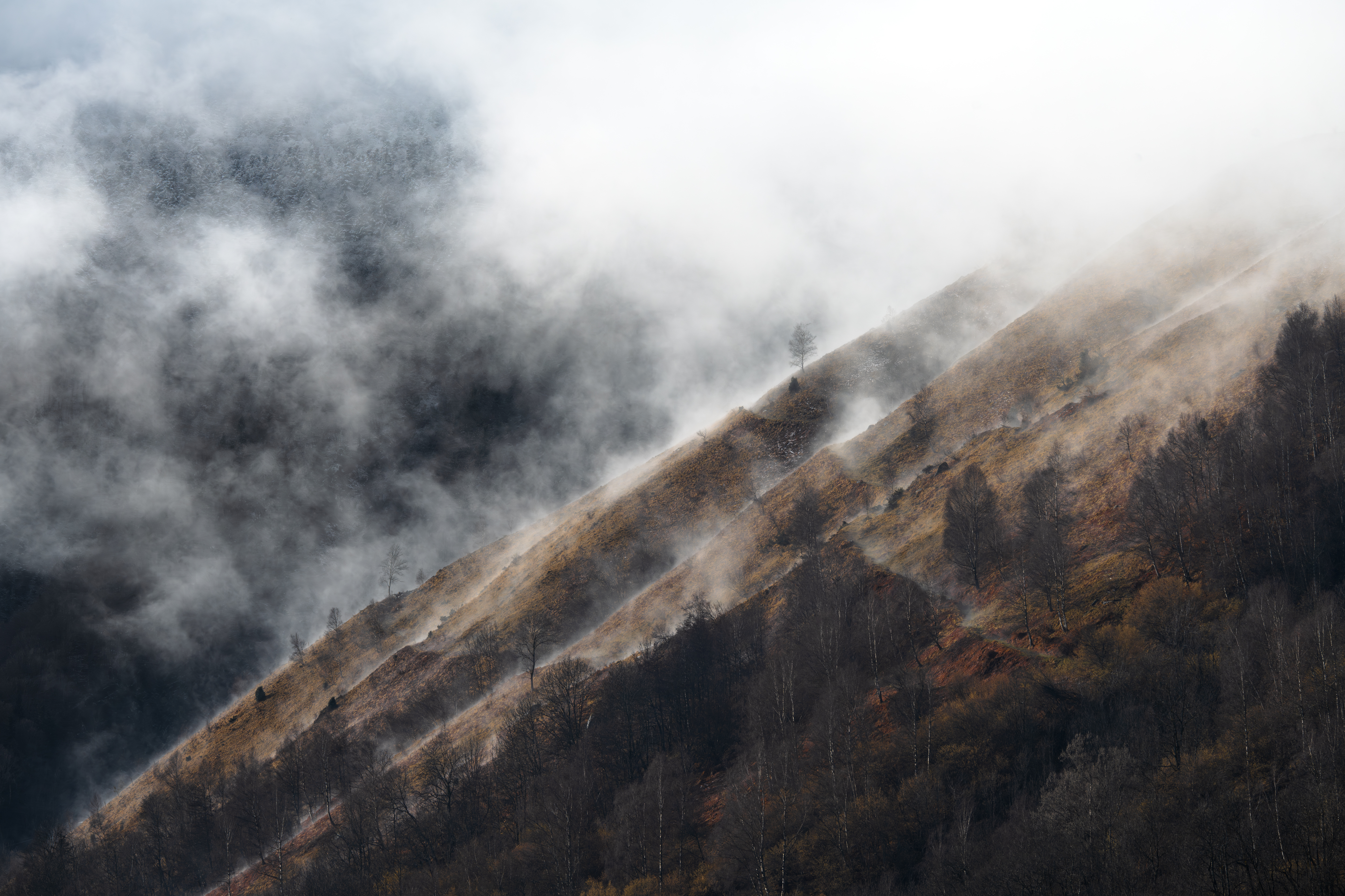 Ambiance Pyrénéenne