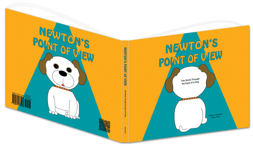 Newton's Point of View 