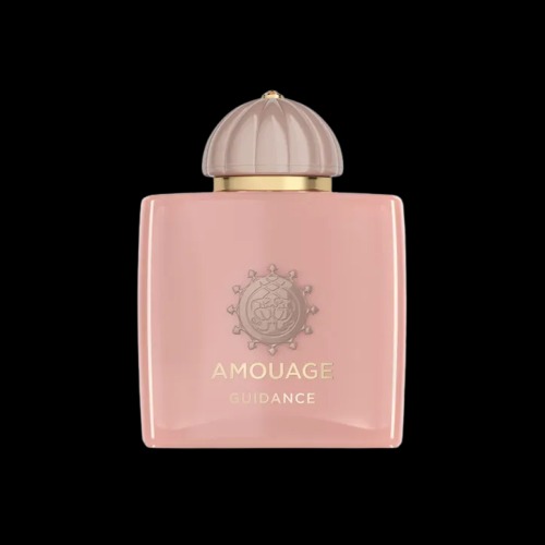 Amouage Guidance