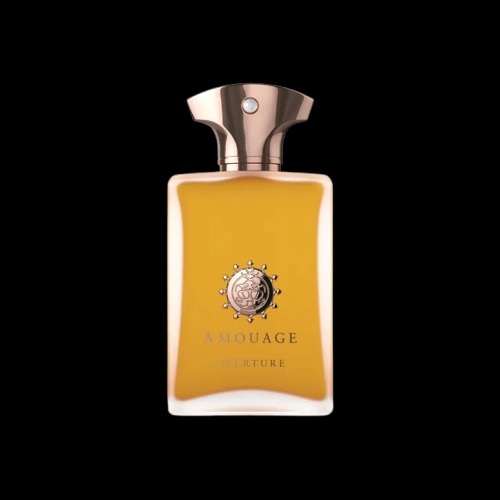 Amouage Overture Man 