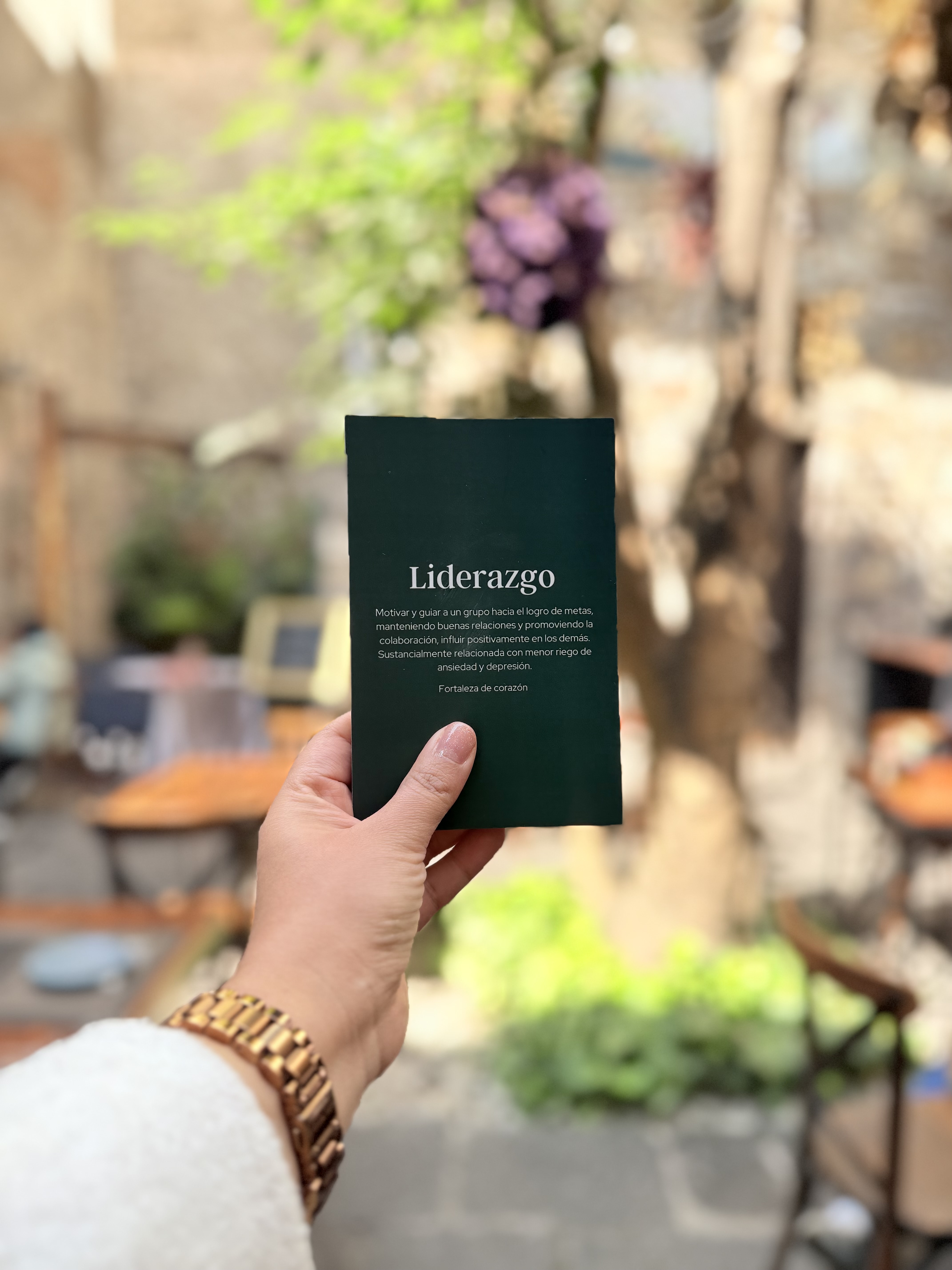 Juego de fortalezas para líderes 