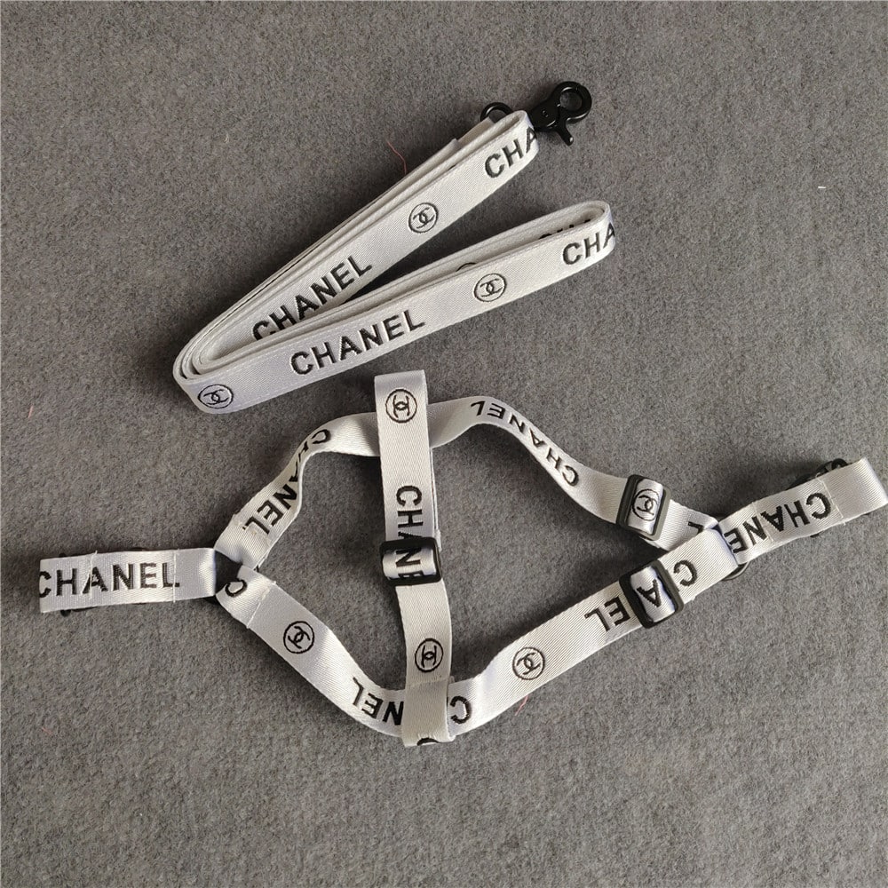 C* Harness & Leash Set