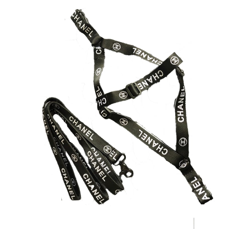 C* Harness & Leash Set