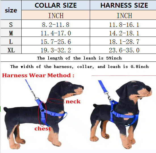 C* Harness & Leash Set