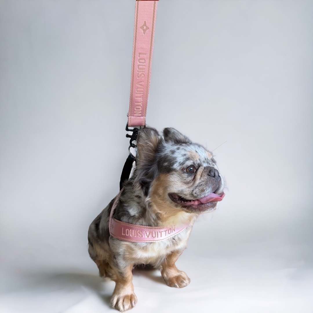 LV* Pink Harness and Leash Set