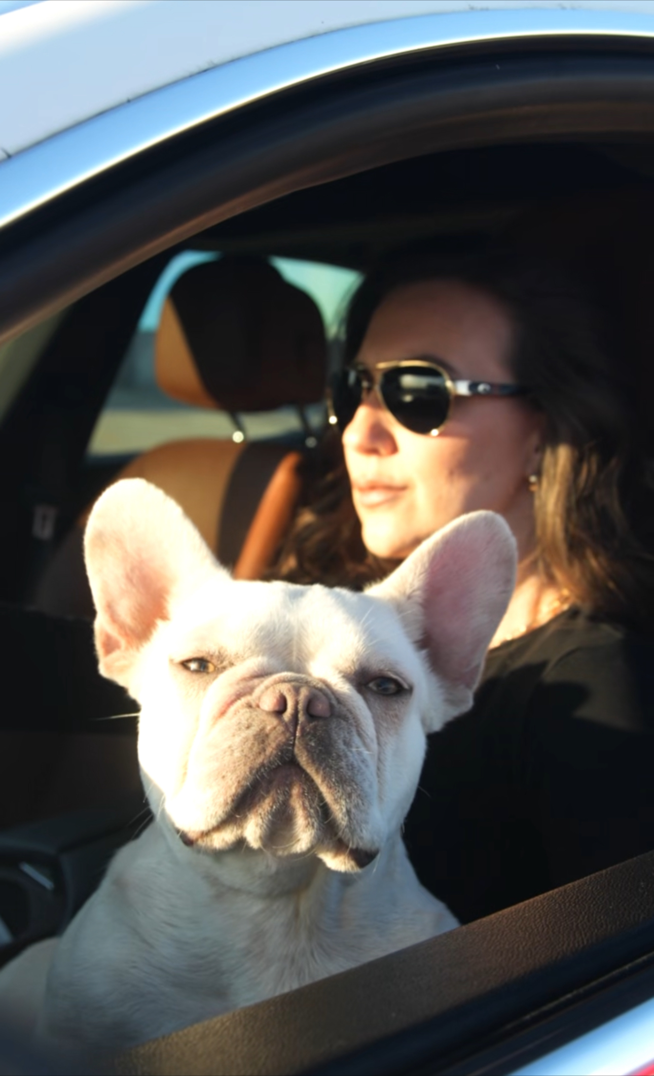 Pearl Perfection - NFS