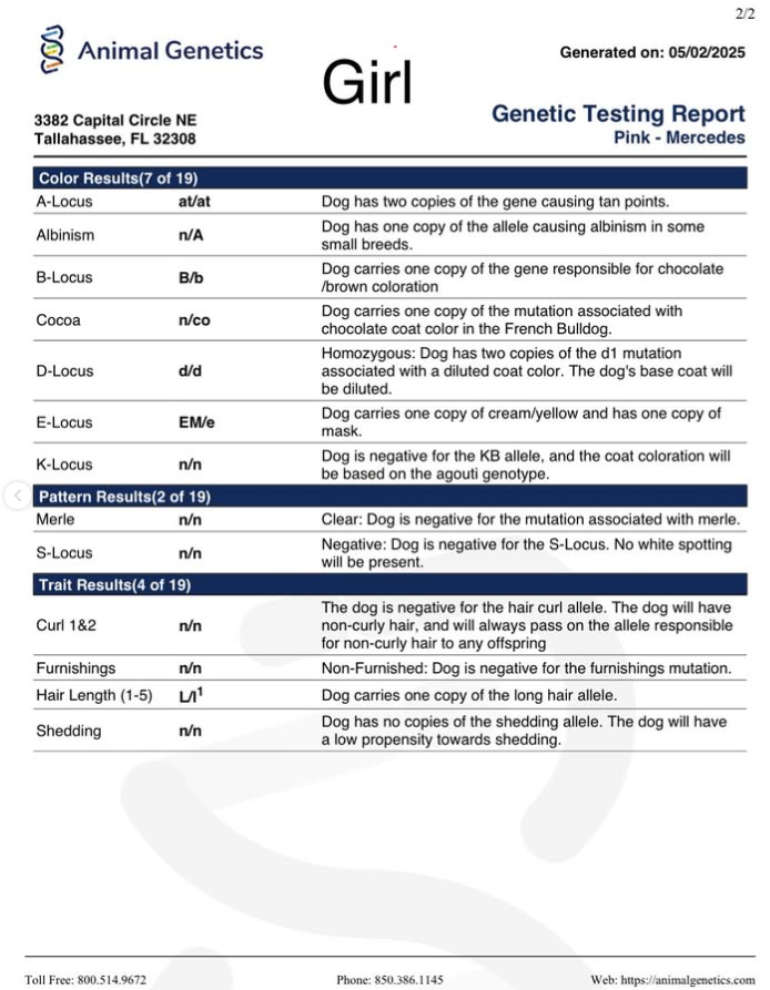 Pink Girl 🩷 atat nA nb nco dd Eme L/I1