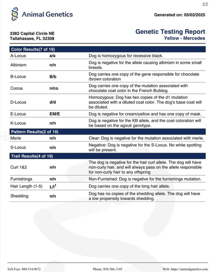 Isabella Boy 🤎 ata bb nco dd EmE L/I1