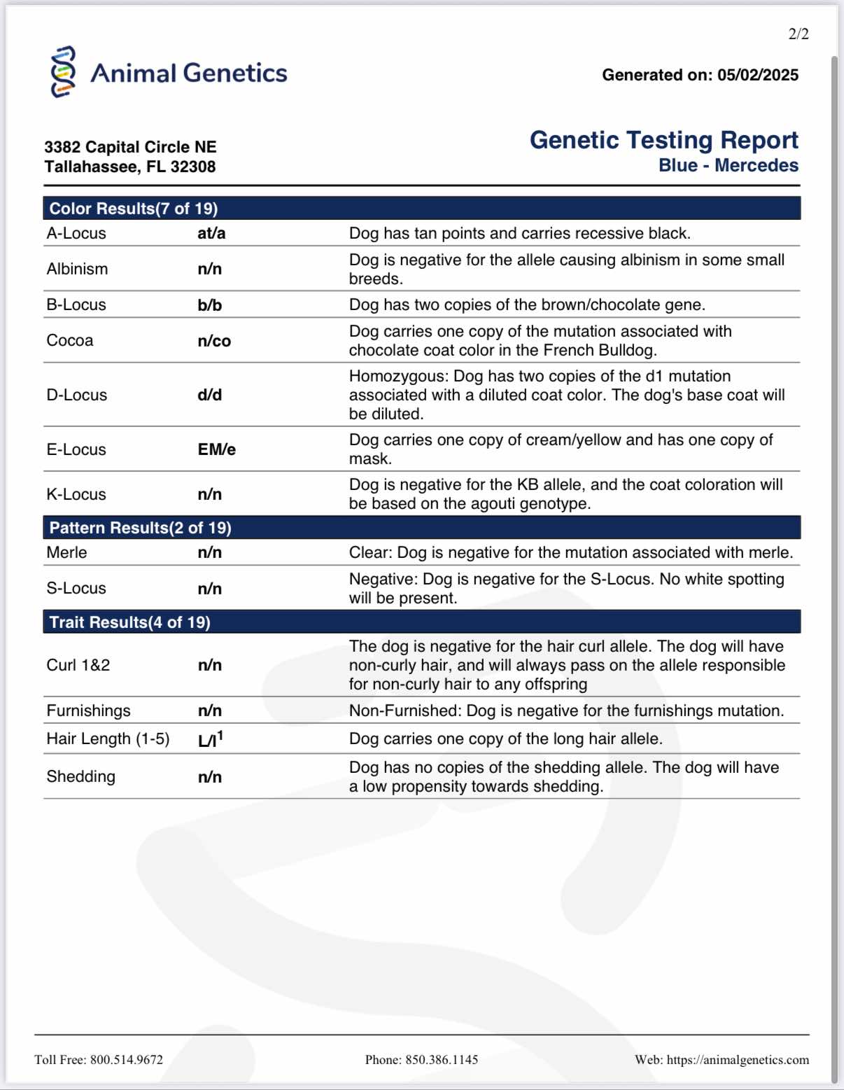 Blue Boy 💙 aa nb nco dd Eme L/I1