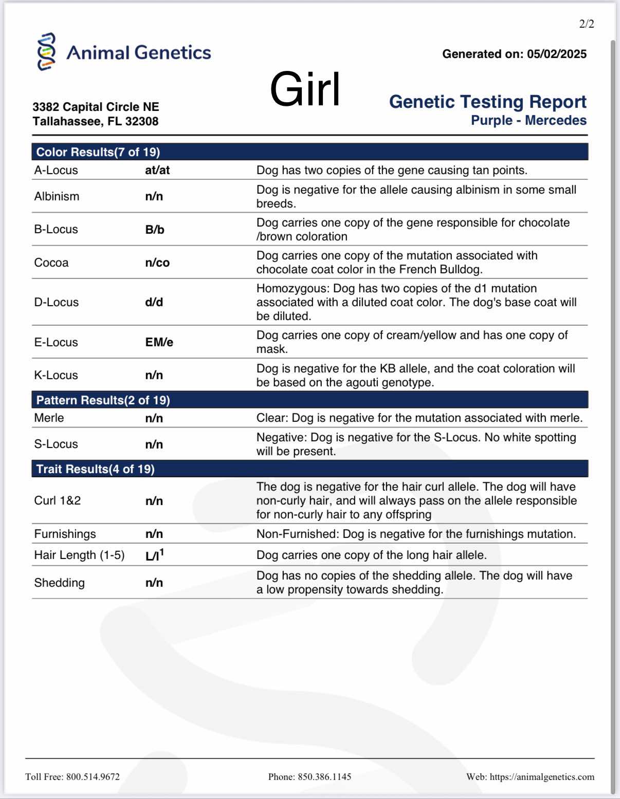 Purple Girl 💜 atat nb nco dd Eme L/I1