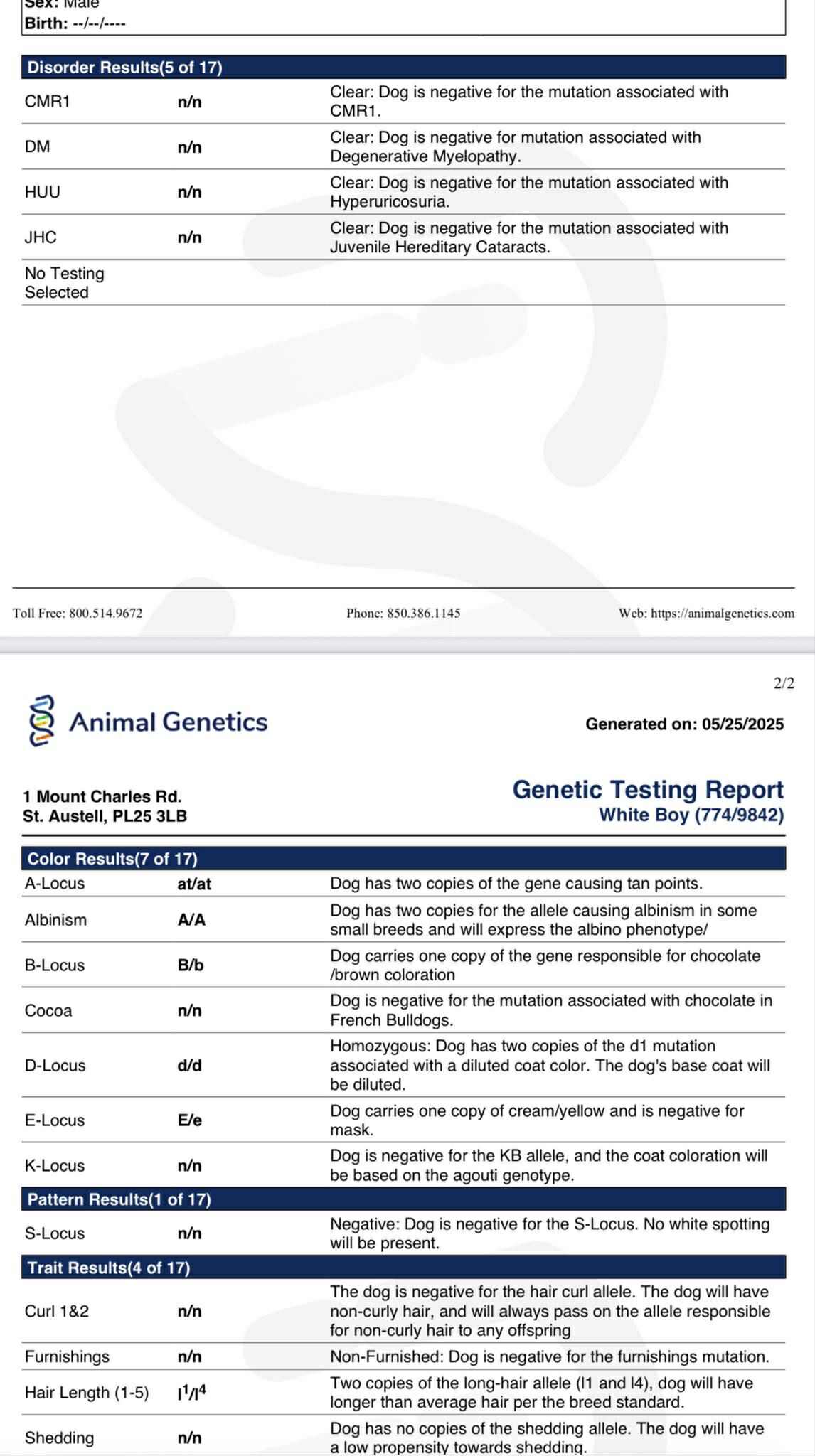 Ghost - Stud Service Only