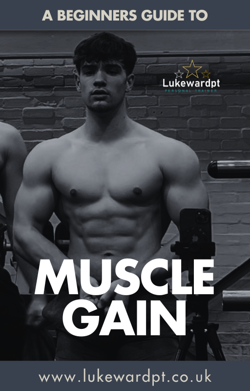 Muscle Building Guide