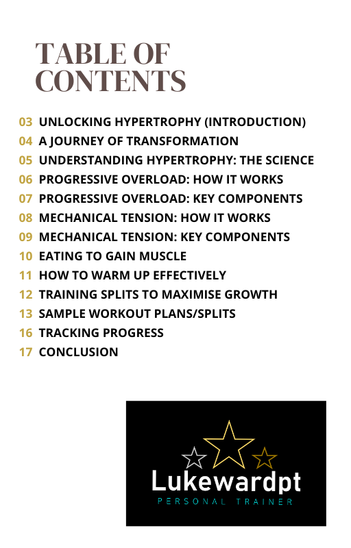 Muscle Building Guide