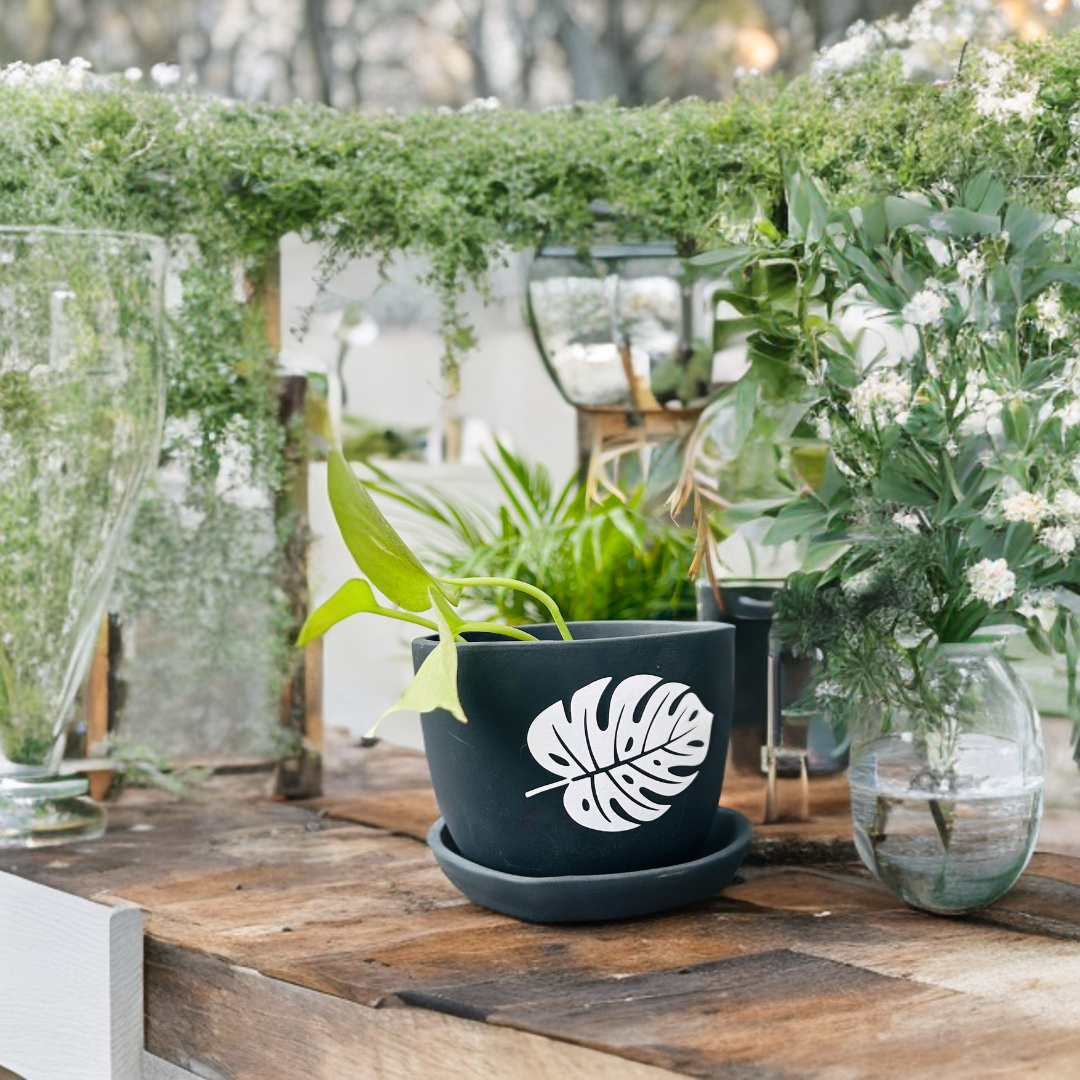 Black Planter & Bottom Plate 