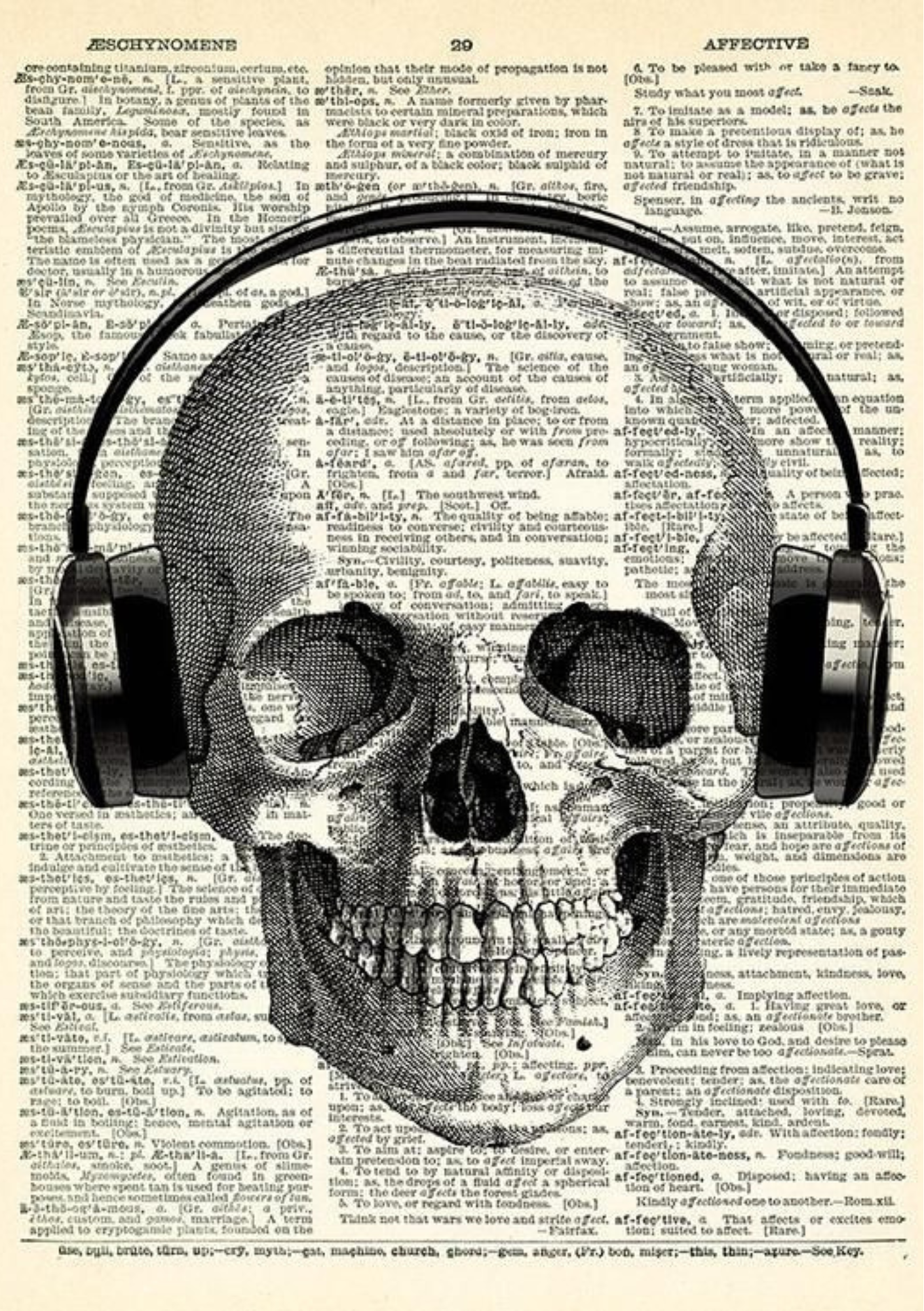 Mind of Mortality – Skull on Head