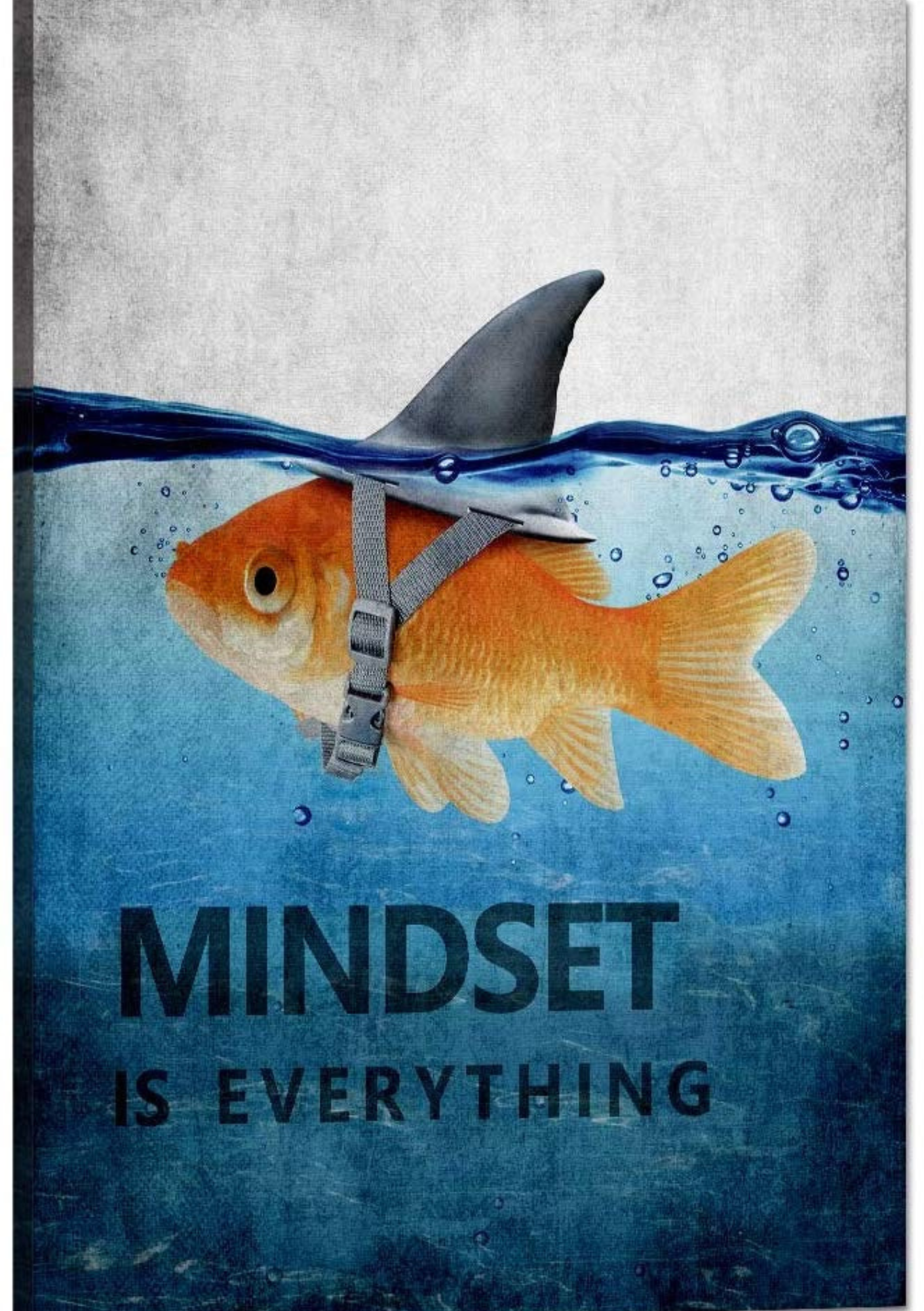 Mindset is Everything – Win from Within