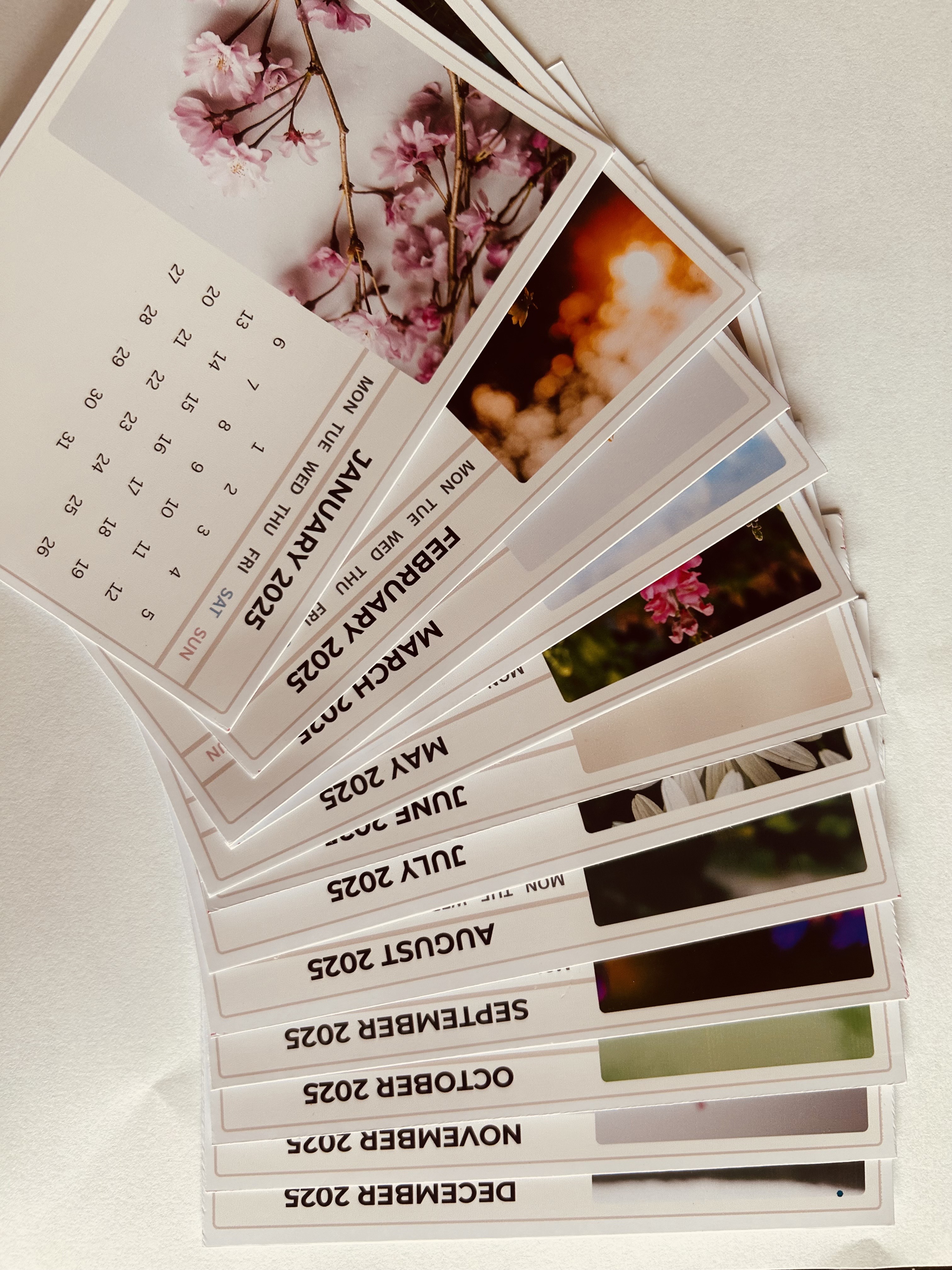 2025 Desk Calendar Card Set with Stand – 12 Monthly 4x6 Inch Aesthetic Botanical Prints – Perfect Gift for Home Office, Teachers, Friends & Students