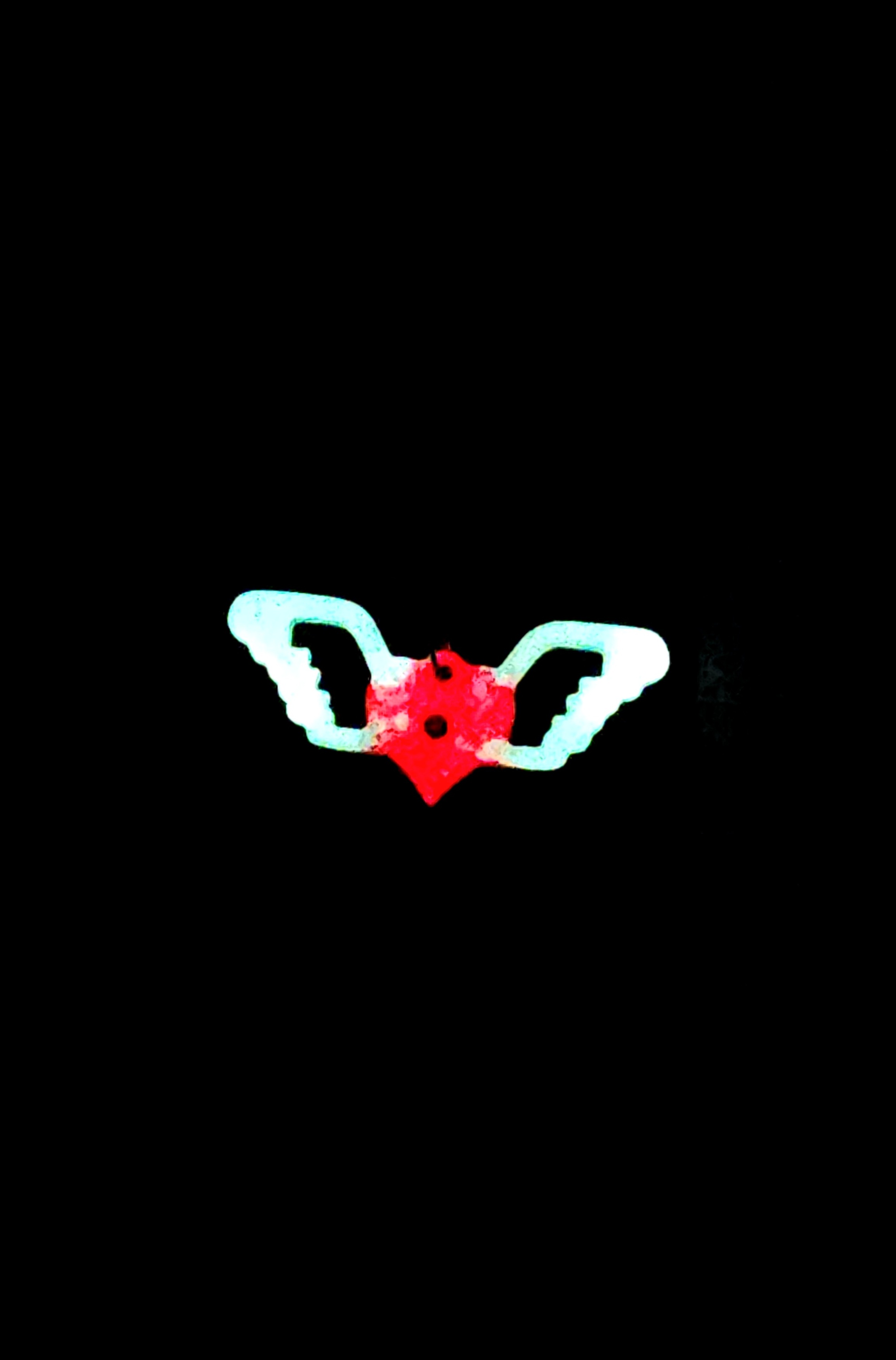 💘 Wings of Love: Enchanted Valentine Necklace 💘