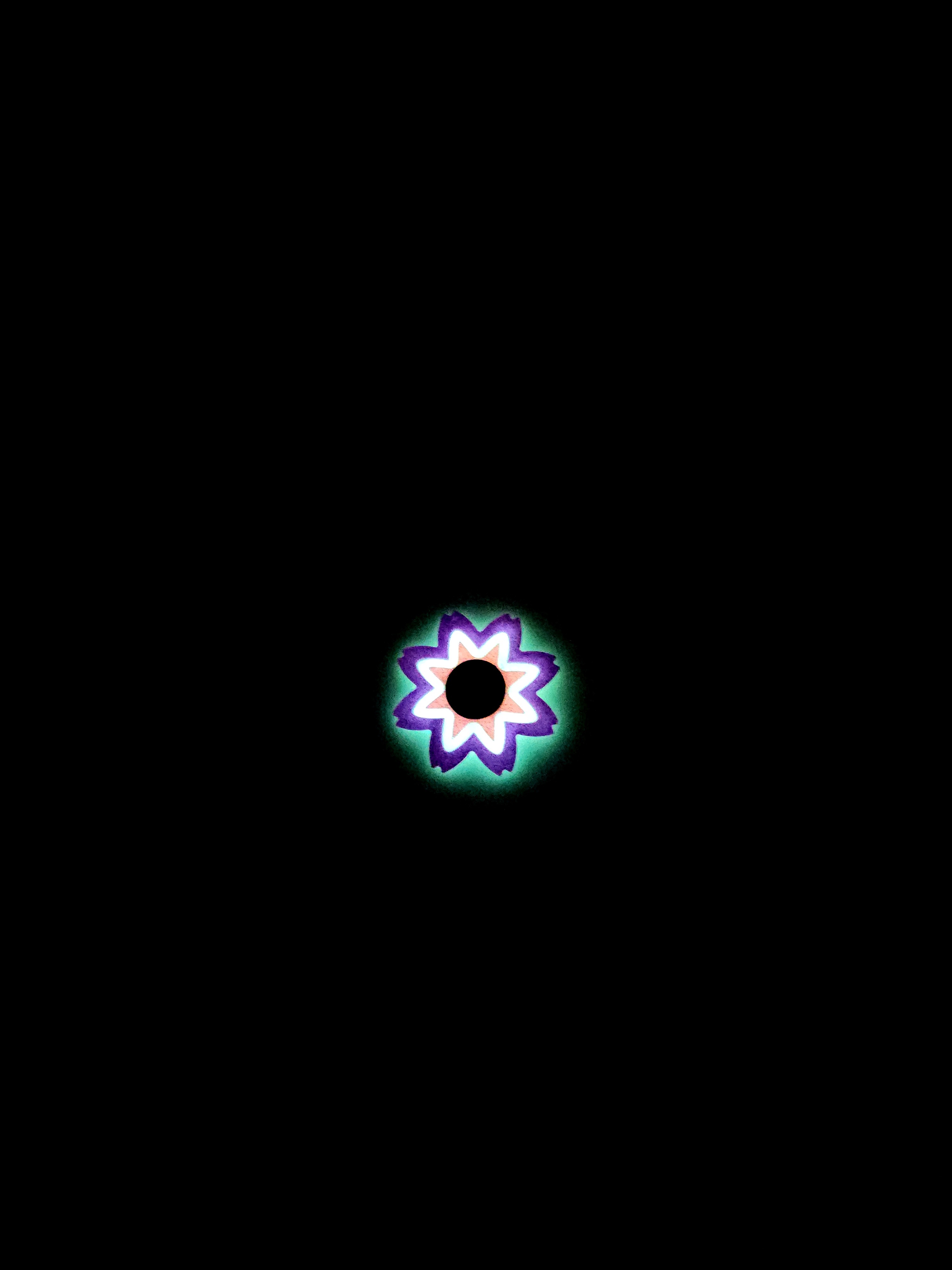 🌸✨ Bloom Twirl Fidget Spinner ✨🌸