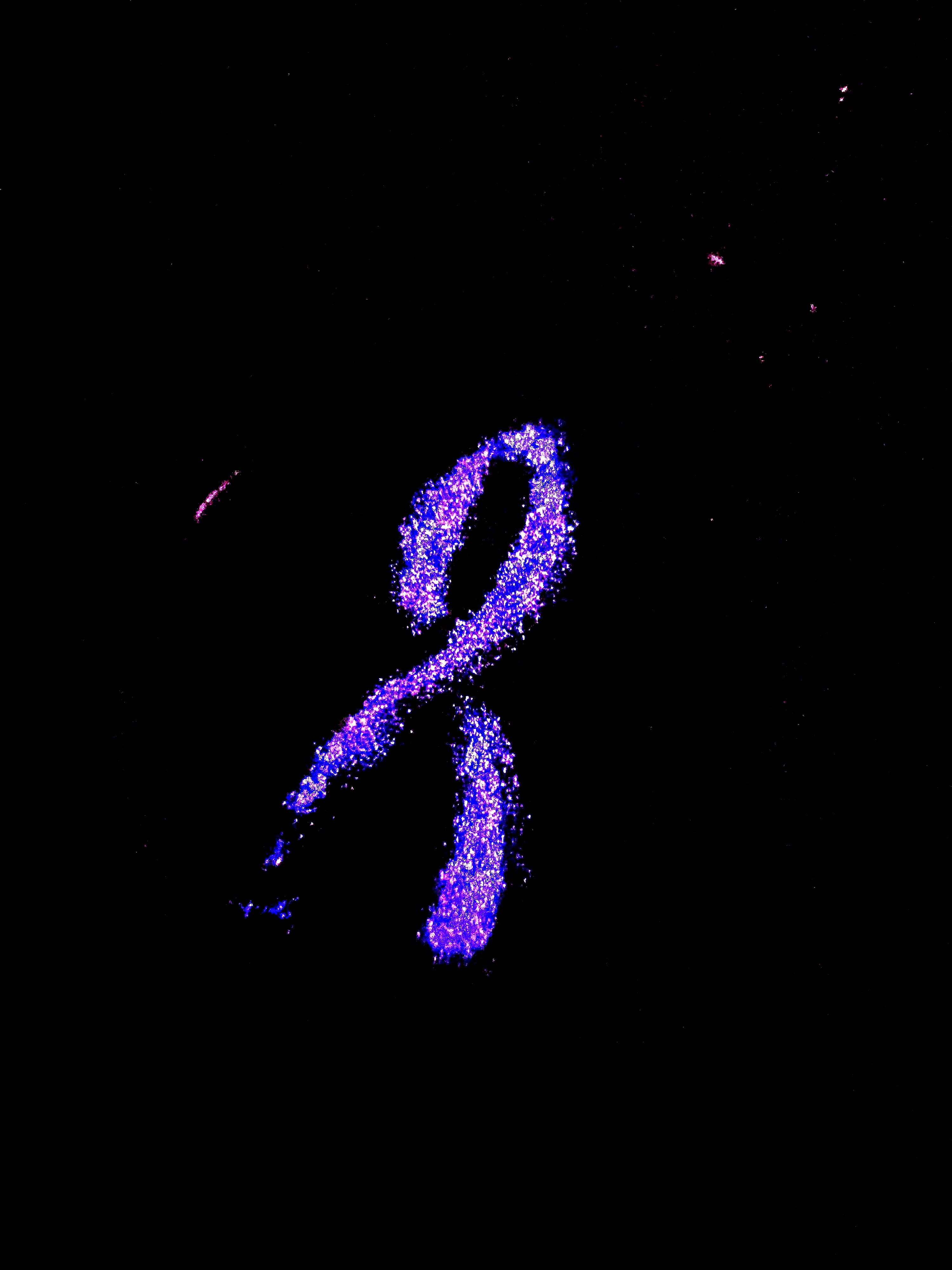 🎀 The Glow Ribbon Charm 🎀
