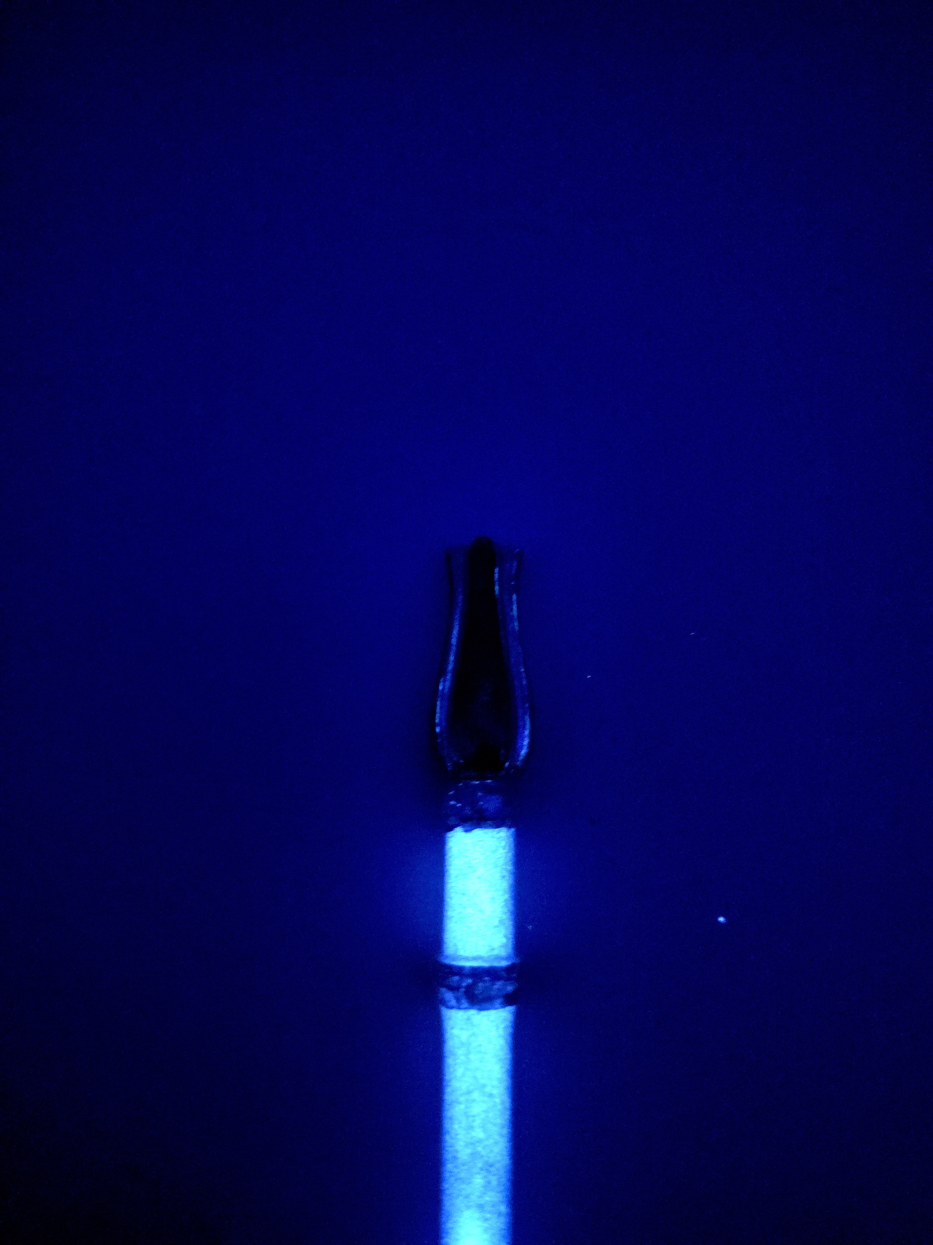 🌷 Tulight Bloom Pen🌷